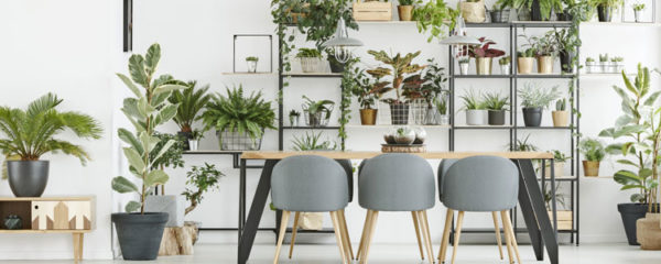 Décoration naturelle
